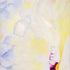 Peony Top Left Print Connie Avery