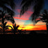Away Print Damiano Austin
