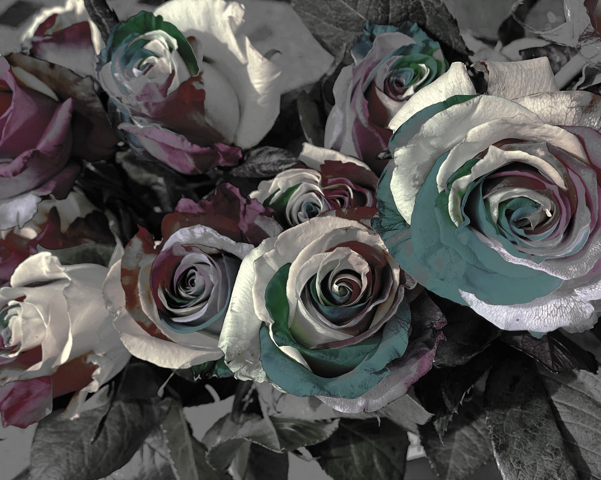 Strange Roses – ArtLifting