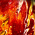 Surfaced Sun Print Damiano Austin