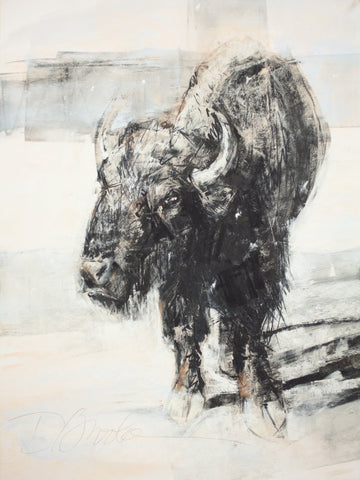 Bison in White - ArtLifting