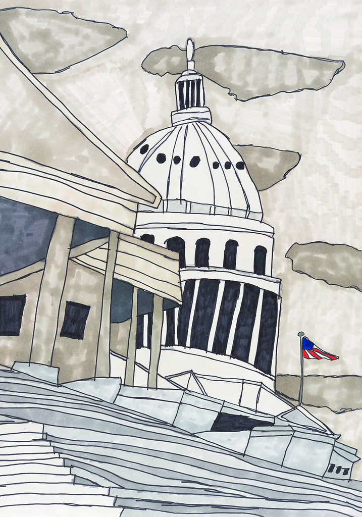 The Capitol Building - ArtLifting