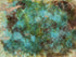 Storm Clouds #2 Print Elizabeth Belstraz