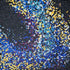 Data 3.01 Original Artwork Erik Jensen