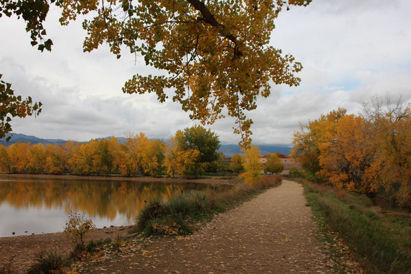 Fall in Boulder 10 - ArtLifting