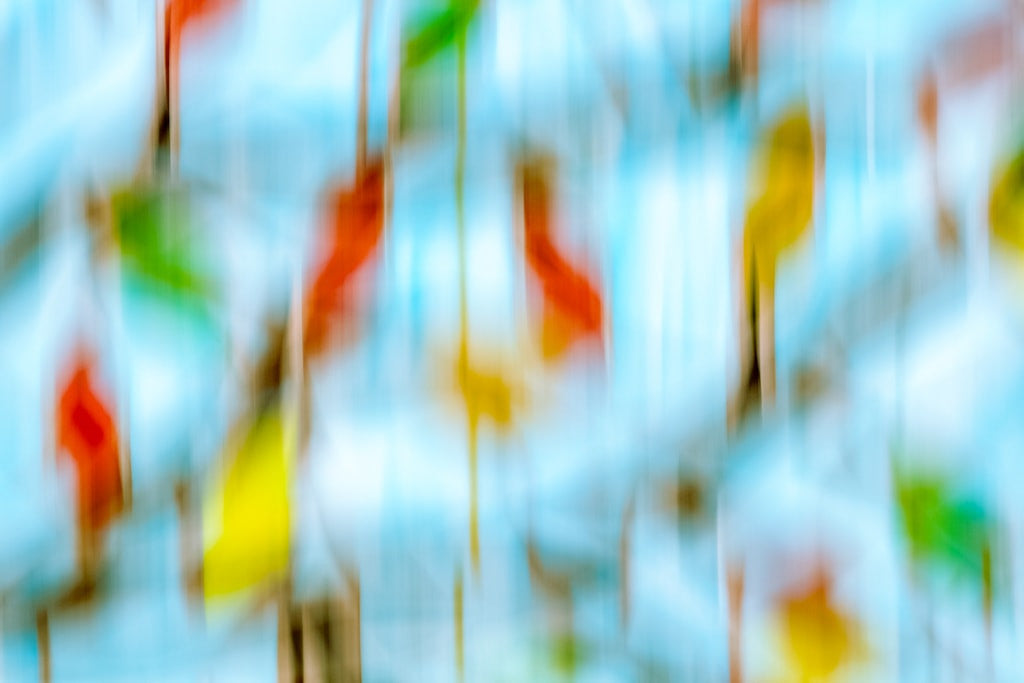 Frozen Print Peter Perrino