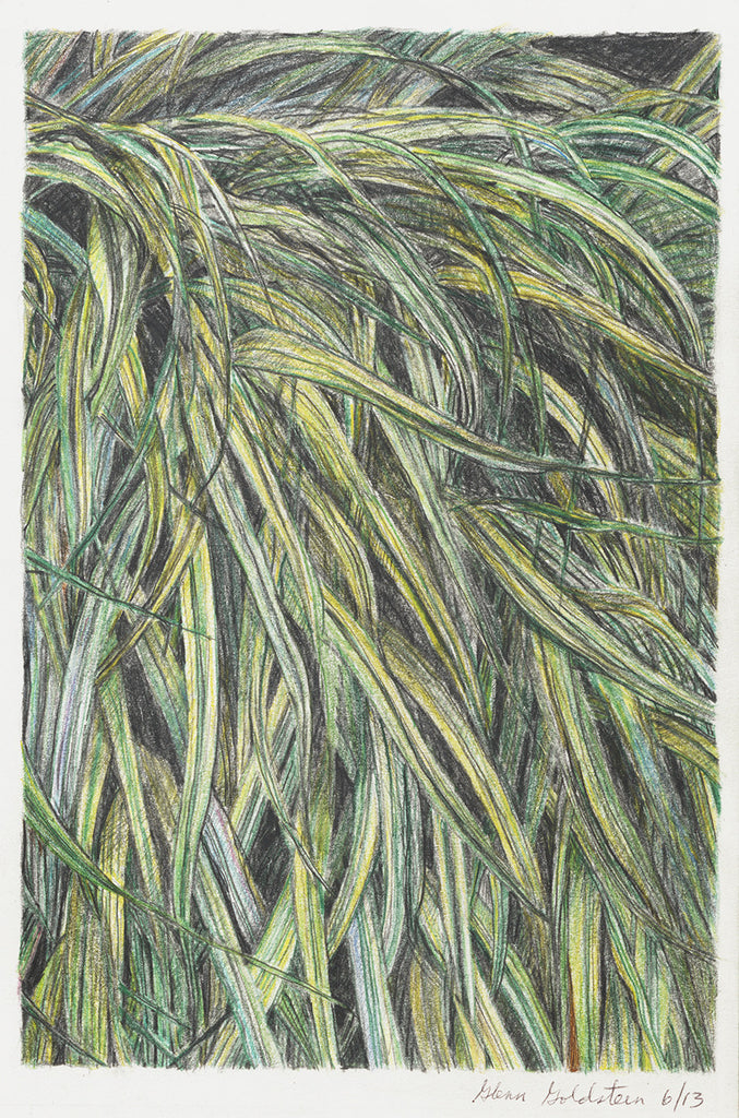 Leaves of Grass - ArtLifting