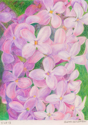 Lilac Blossoms - ArtLifting