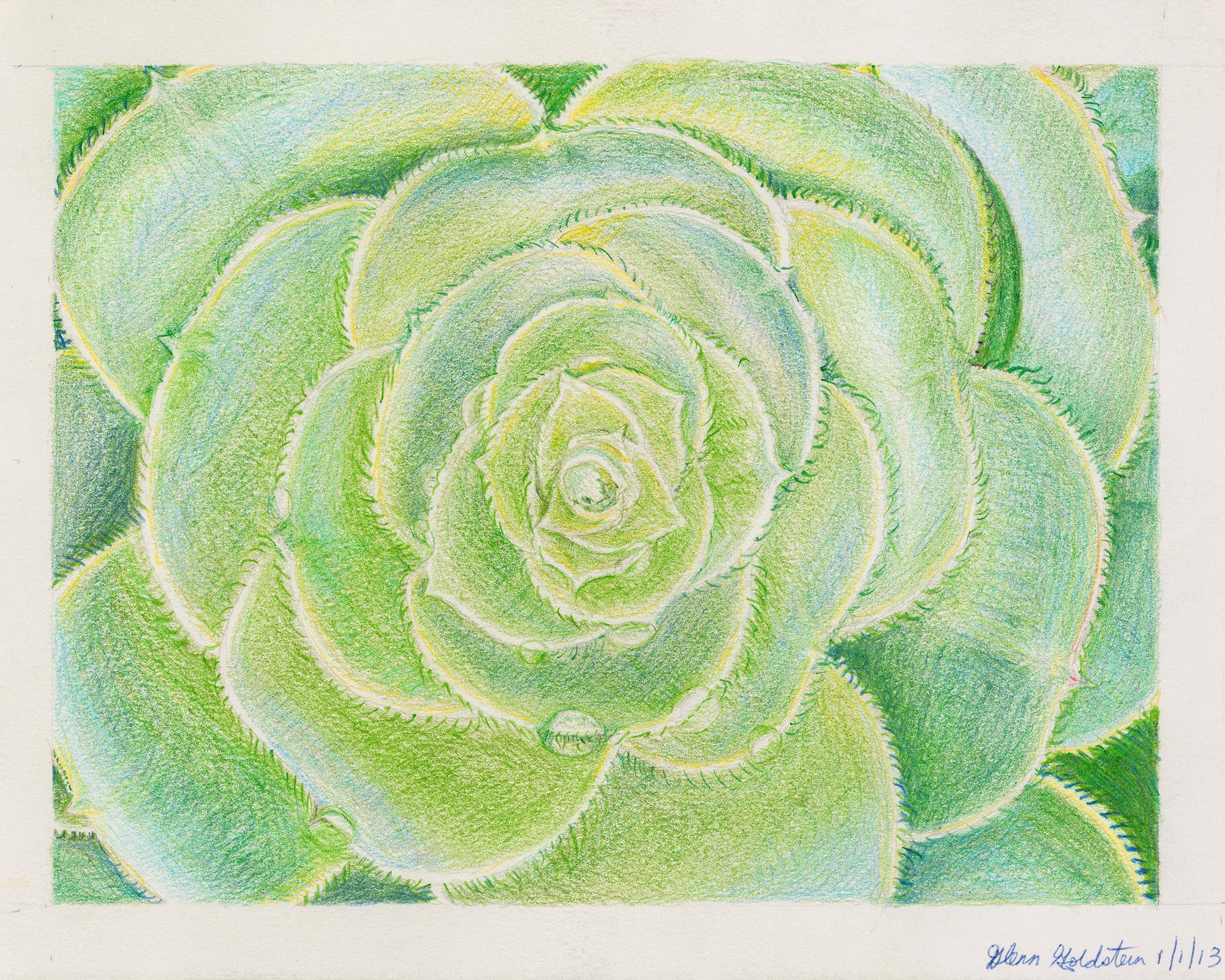 cactus and succulent art SUCCULENT CACTUS – ArtLifting