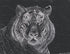 Tiger Print Glenn Goldstein