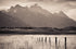 Field of Dreams Print Jeff Diener