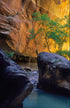 Heart of the Narrows Print Jeff Diener