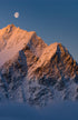 Morning Glory Print Jeff Diener