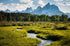 Summer Streams Print Jeff Diener
