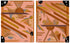 Floating Spears & Spheres Original Artwork Kateri
