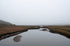 Point Reyes Stillness Print Laria Saunders