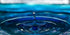 Zen Pool Print Laria Saunders