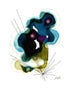 Galaxy No. 3 Print Lindsey Holcomb