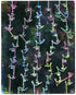 Pride Print Lindsey Holcomb