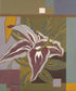Lily Print Cameron Meek