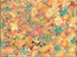 Calypso Print Mia Brown