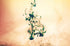 Potion Print Michael Van Huffel