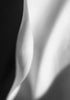 Rabbit Ears Print Michael Van Huffel