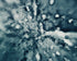 Rapids Print Michael Van Huffel