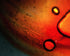 Sunspots Print Michael Van Huffel