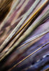 The Other Rainbow Print Michael Van Huffel