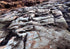 You Strike the Rock Print Michael Van Huffel