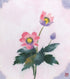 Flower Print Midori