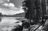 Lakeside Trail Print Mike Hedrick