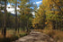 Estes Late September 11 Print Mike Hedrick
