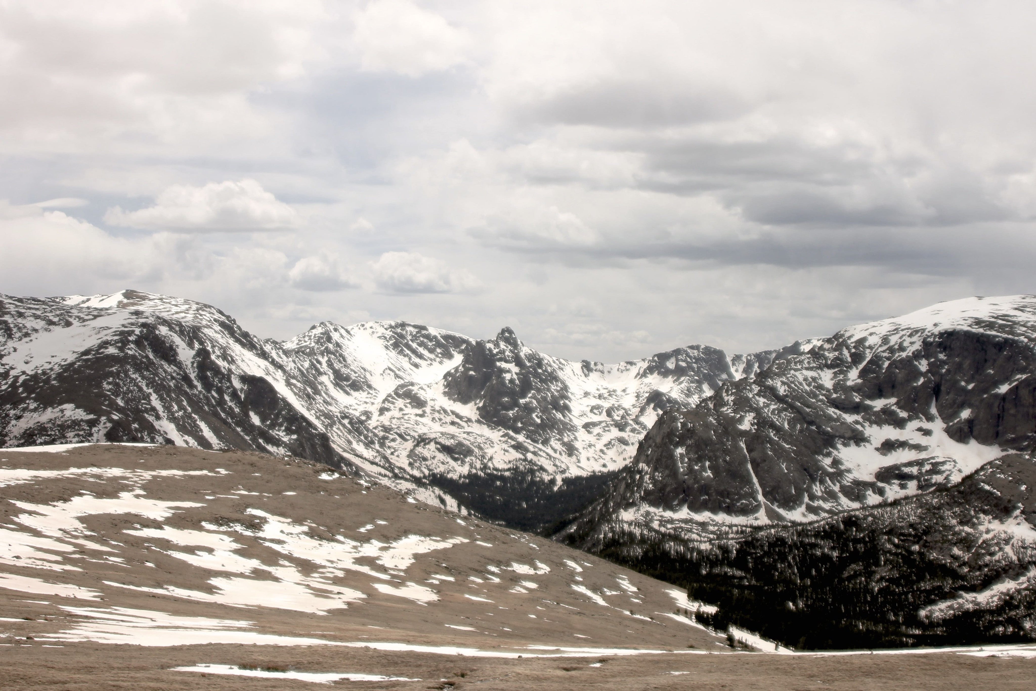 Trail Ridge 4 – ArtLifting