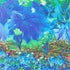 Botanical 2 Print Nancy Wood