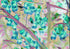 Flowers Cyan Print Nancy Wood