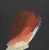 Meteor in Motion Print Nick Morse