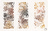 Coins 1 Print Olivia D'Addario