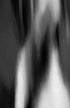 Ephemeral Volume Print Peter Perrino