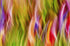 Kinetic Energy Print Peter Perrino