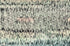 Speculative Dream Print Peter Perrino