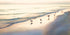 Beach Friends Print Rhi Wilde