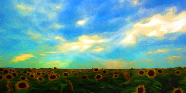 Sunflower Field - ArtLifting