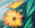 Daisy Study Print Rhi Wilde