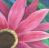 Daisy 3 Print Rhi Wilde