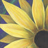 Daisy 2 Print Rhi Wilde