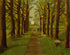 Sunken Garden Print Robyn Kennedy