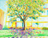 Outdoor Shade Print Roger Blais