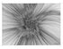 Untitled 21 Print Scott Benner